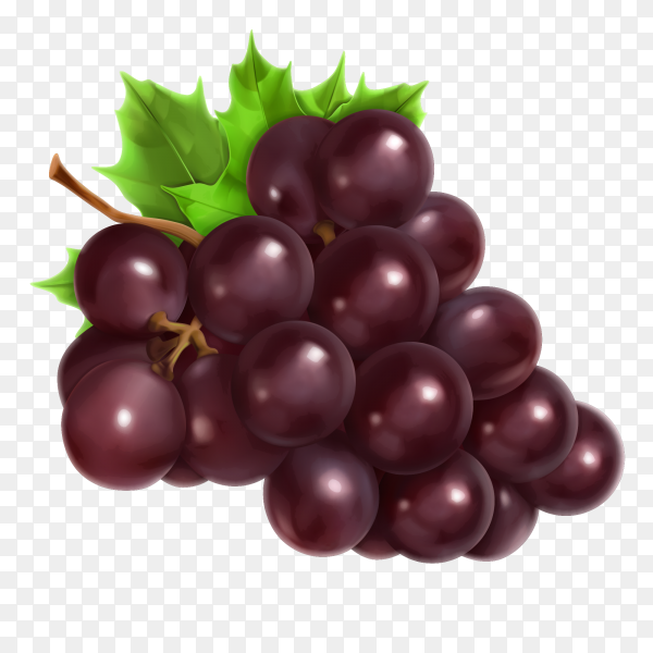 Detail Anggur Vector Png Nomer 20
