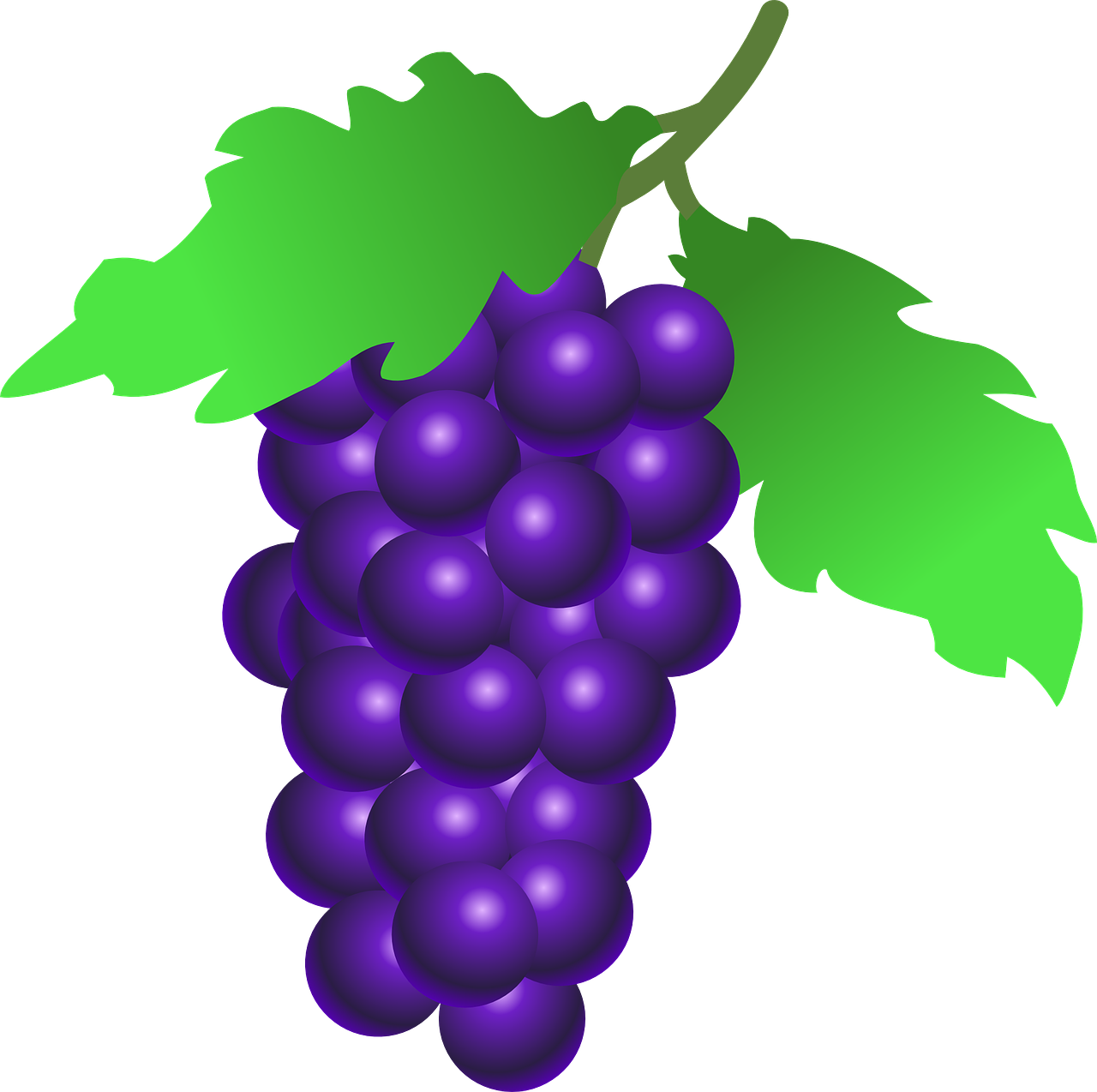 Detail Anggur Vector Png Nomer 3