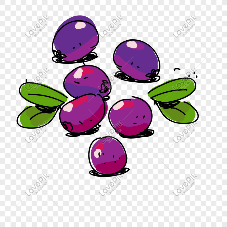 Detail Anggur Vector Png Nomer 29