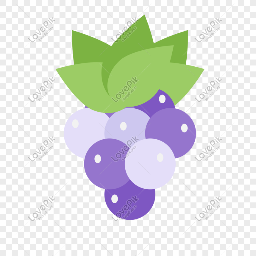 Detail Anggur Vector Png Nomer 31