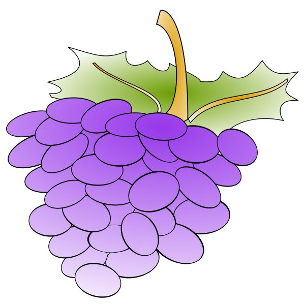 Detail Anggur Vector Png Nomer 32