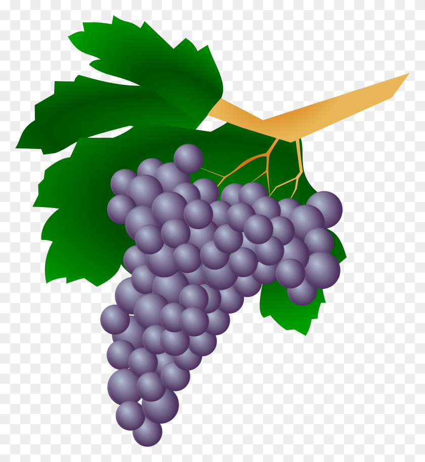 Detail Anggur Vector Png Nomer 34