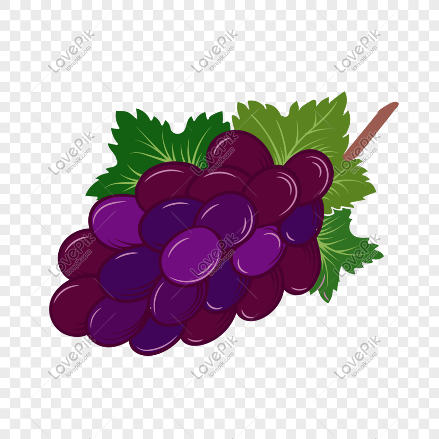 Detail Anggur Vector Png Nomer 4