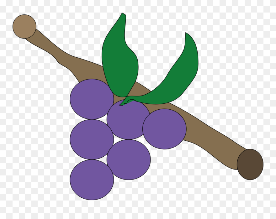 Detail Anggur Vector Png Nomer 39