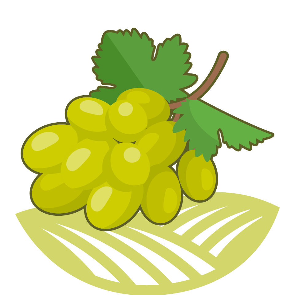 Detail Anggur Vector Png Nomer 42