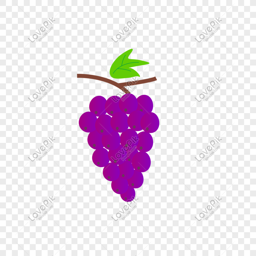 Detail Anggur Vector Png Nomer 47