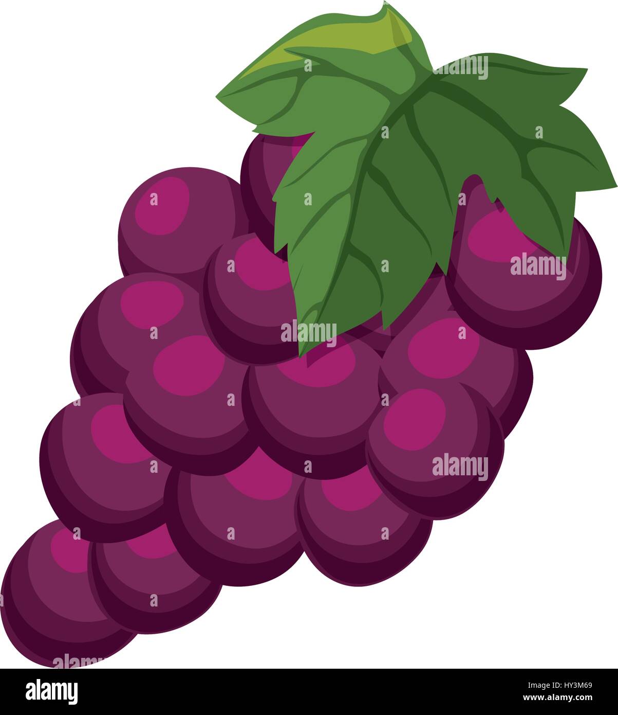 Detail Anggur Vector Png Nomer 50