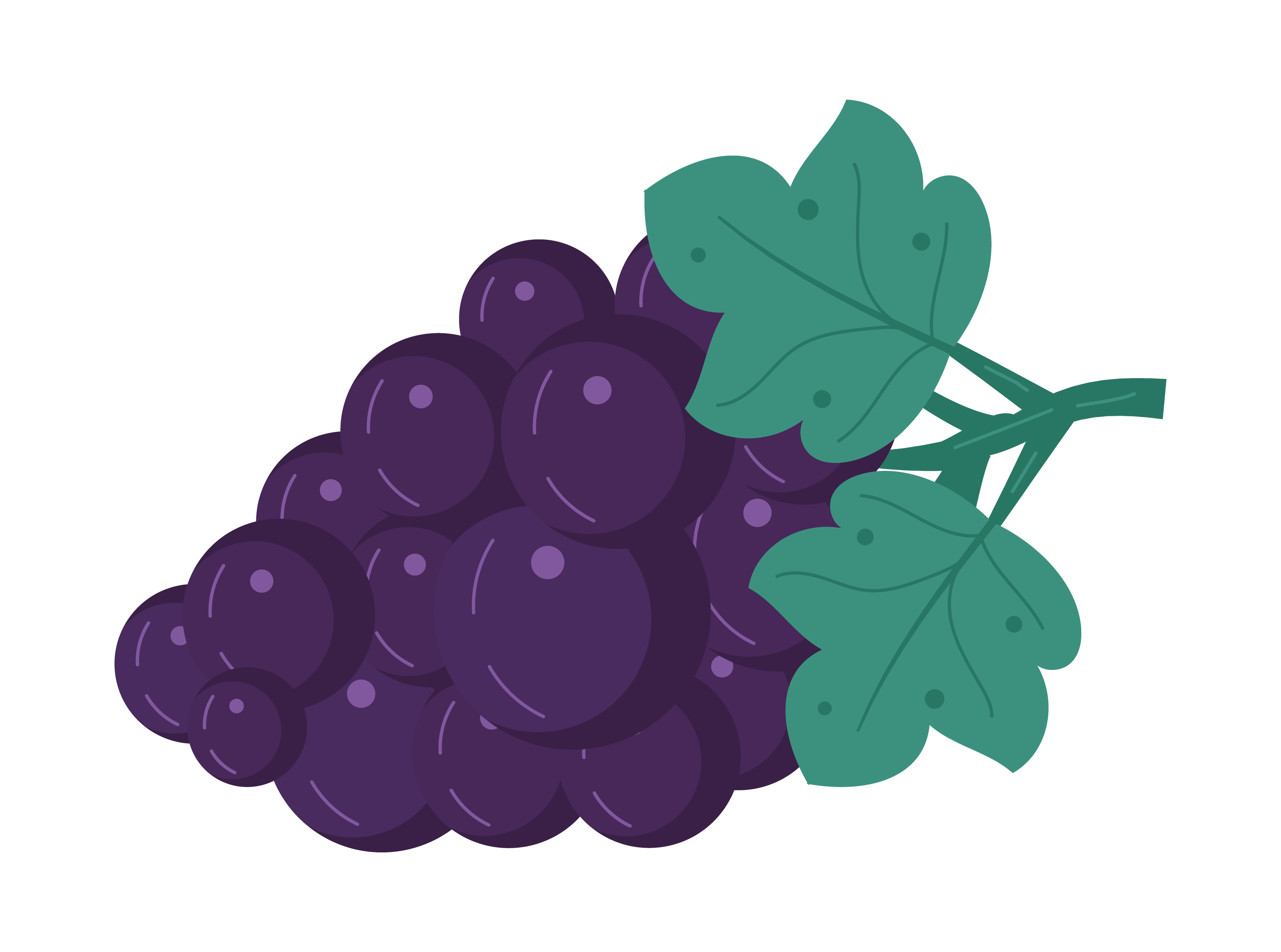 Detail Anggur Vector Png Nomer 54