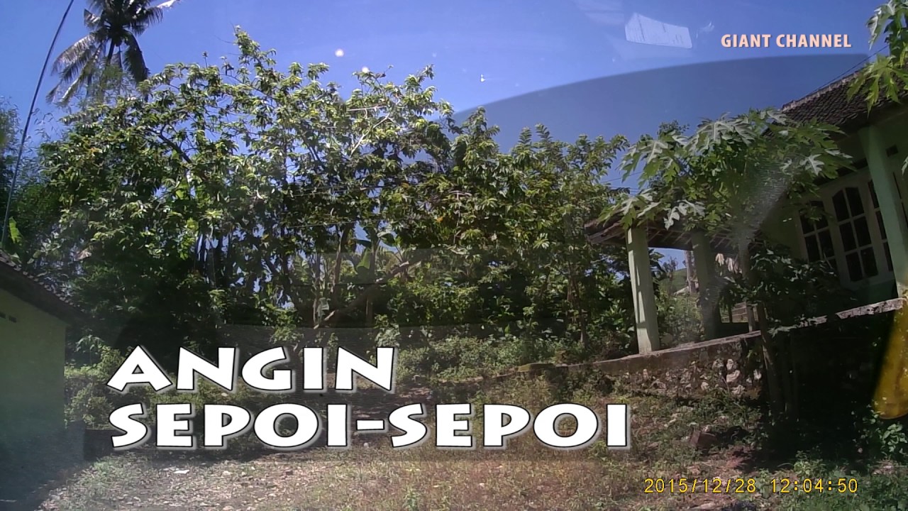 Detail Angin Sepoi Sepoi Nomer 14