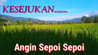 Detail Angin Sepoi Sepoi Nomer 29