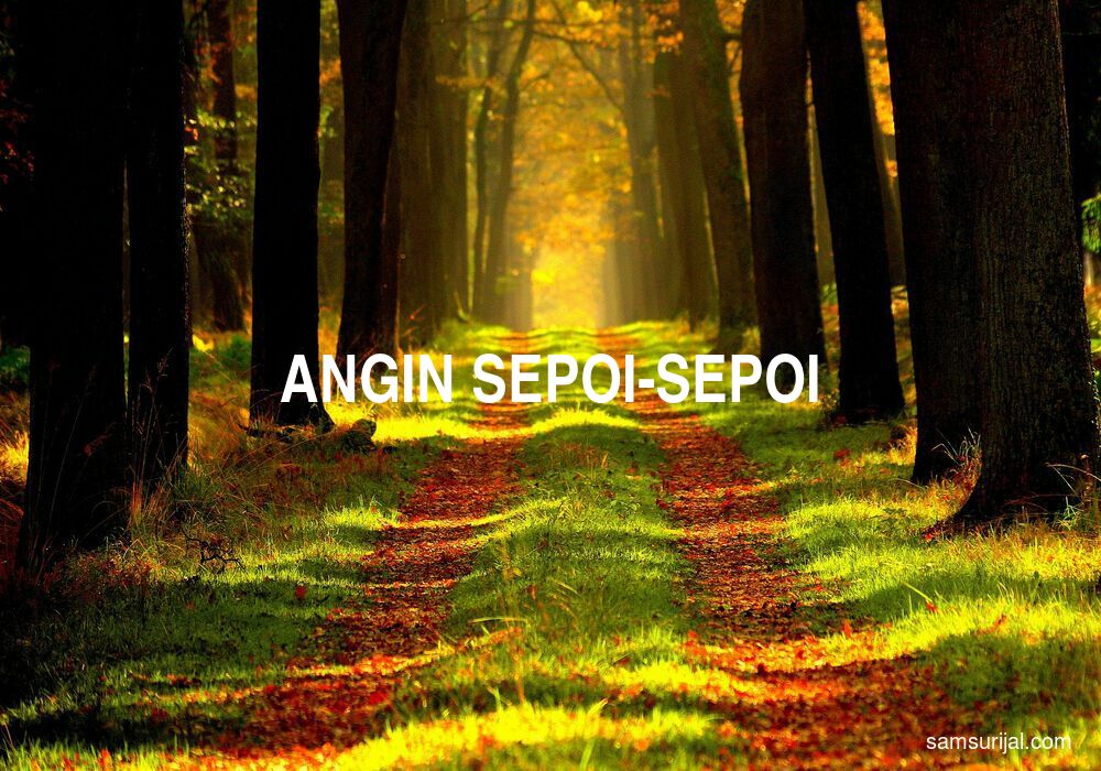 Detail Angin Sepoi Sepoi Nomer 53