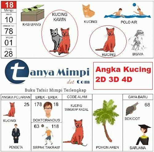 Kesimpulan