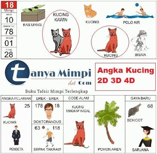 Angka Kode Alam Anak Kucing - KibrisPDR