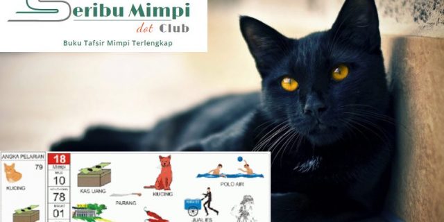 Detail Angka Kode Alam Anak Kucing Nomer 15