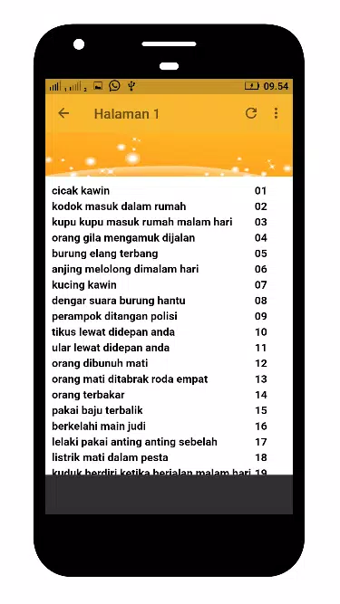 Detail Angka Kode Alam Anak Kucing Nomer 31