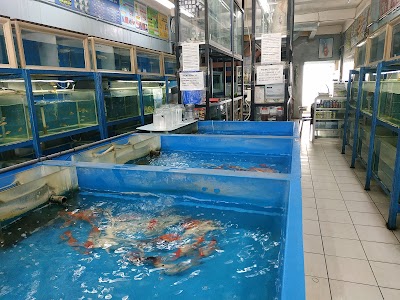 Detail Angkasa Aquarium Nomer 9