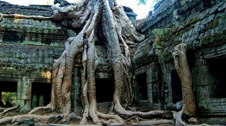 Detail Angkor Wat Beng Mealea Nomer 26