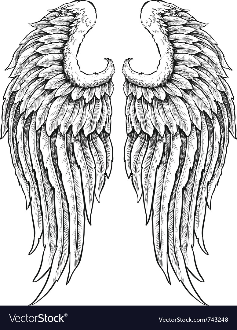 Detail Angle Wing Pics Nomer 52