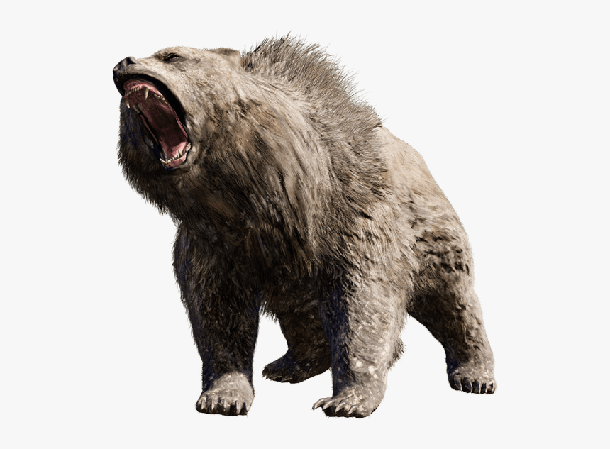 Detail Angry Bear Png Nomer 2