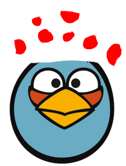 Detail Angry Birds Biru Nomer 18
