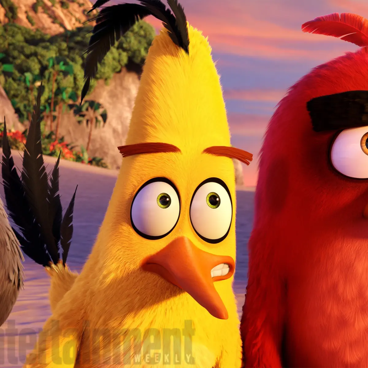 Detail Angry Birds Hitam Nomer 25