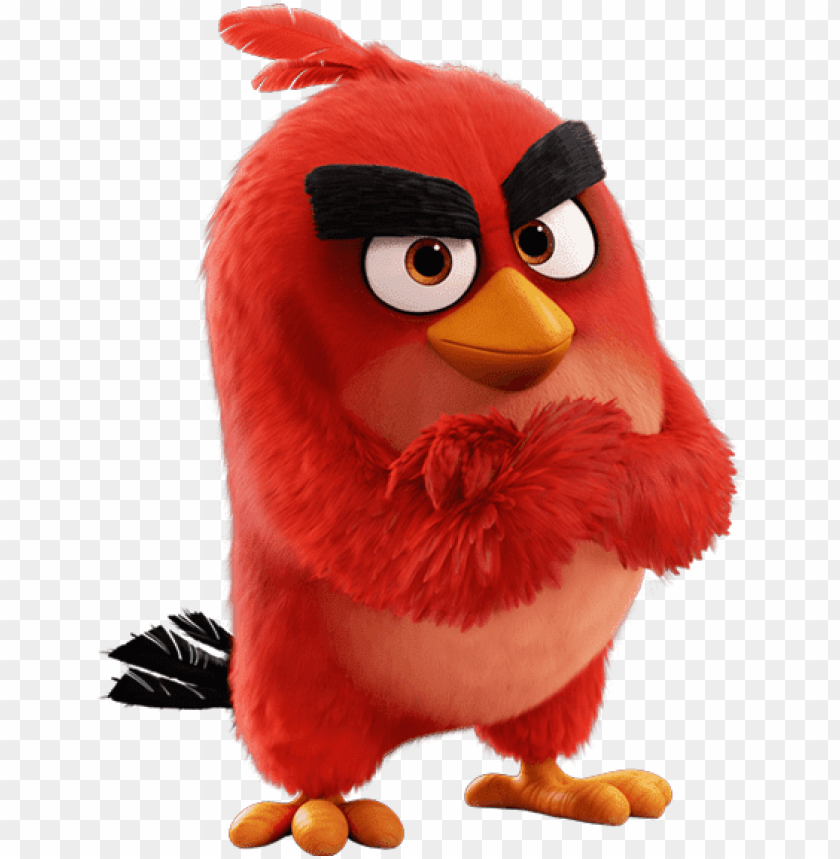 Detail Angry Birds Png Nomer 7