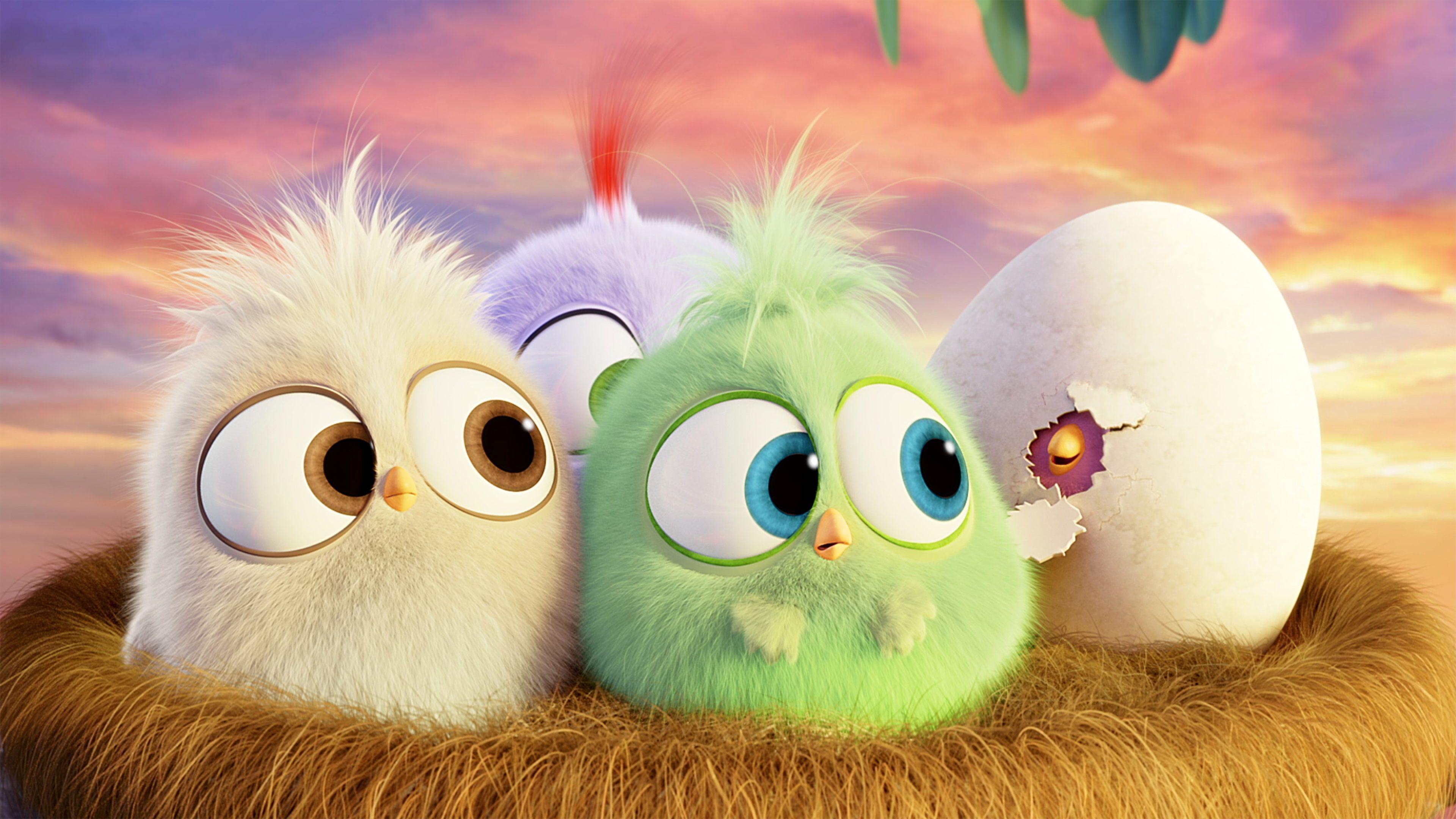 Detail Angry Birds Wallpaper Nomer 19