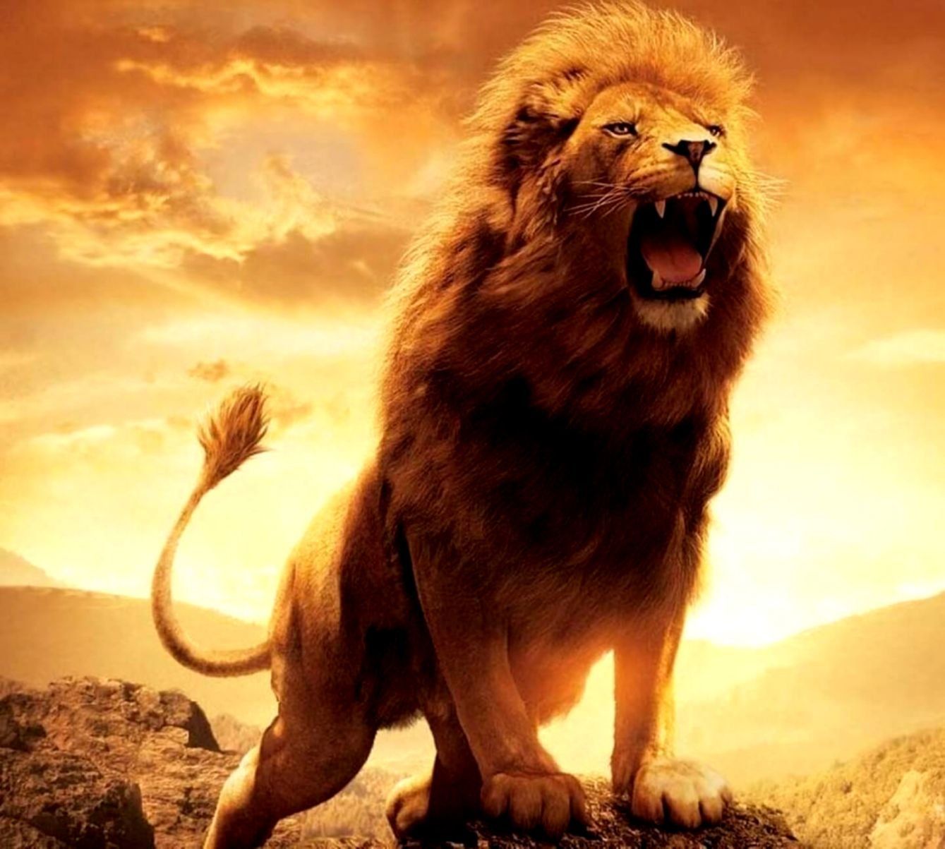 Detail Angry Lion Images Hd Nomer 10