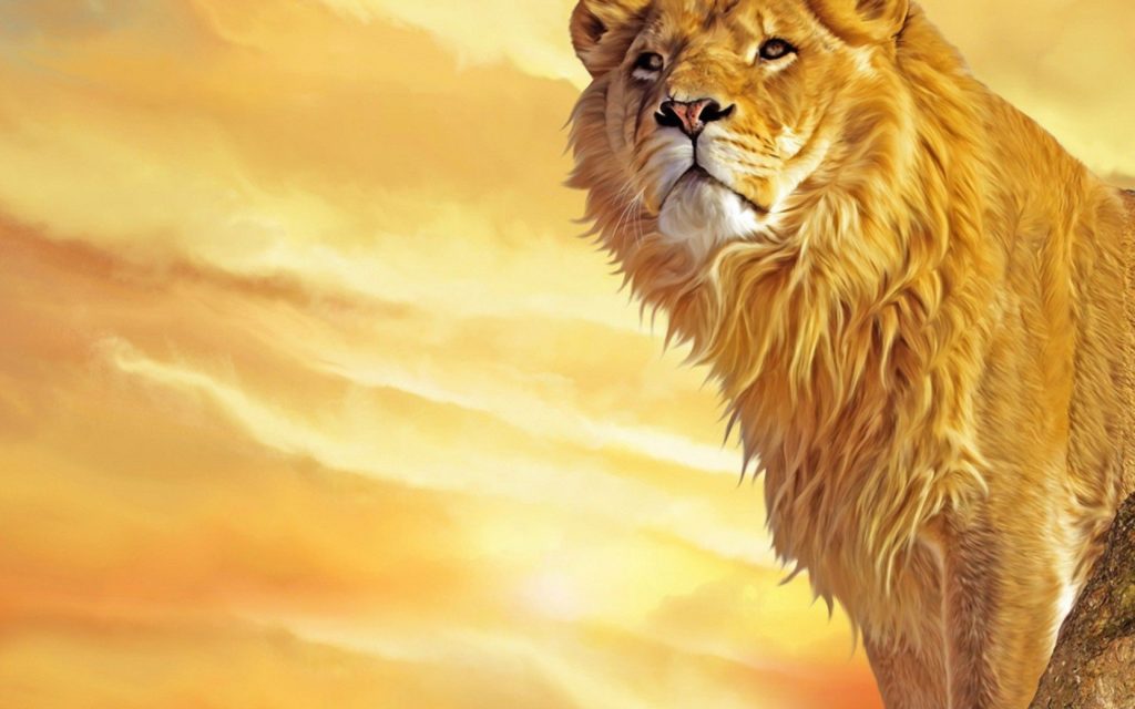 Detail Angry Lion Wallpaper Nomer 32