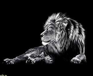 Detail Angry Lion Wallpaper Nomer 34