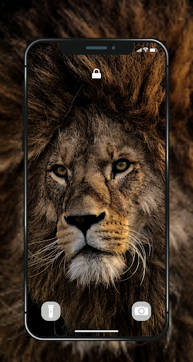 Detail Angry Lion Wallpaper Nomer 42