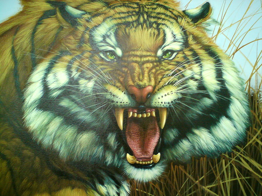 Detail Angry Tiger Nomer 55