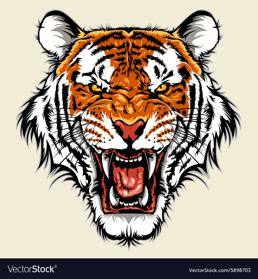 Detail Angry Tigers Images Nomer 21