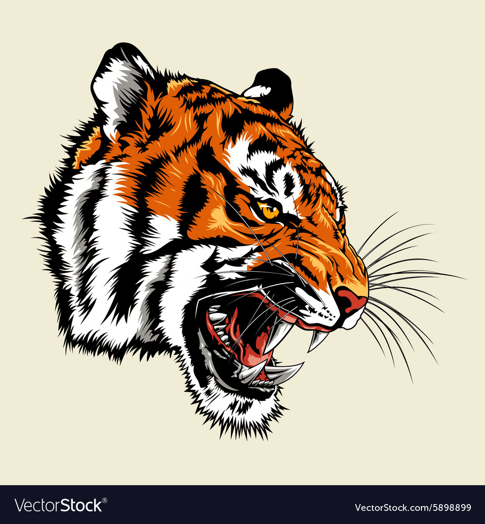 Detail Angry Tigers Images Nomer 48