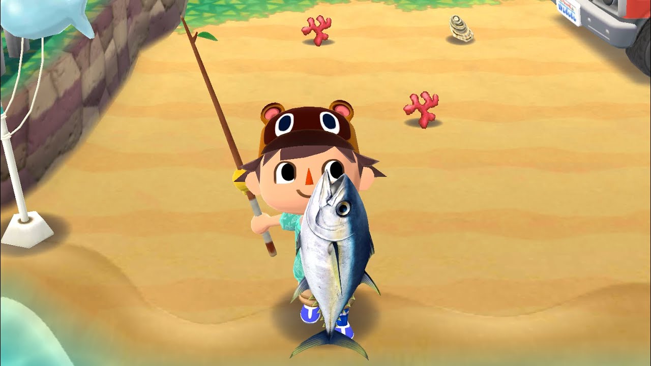 Detail Animal Crossing Pocket Camp Tuna Nomer 2