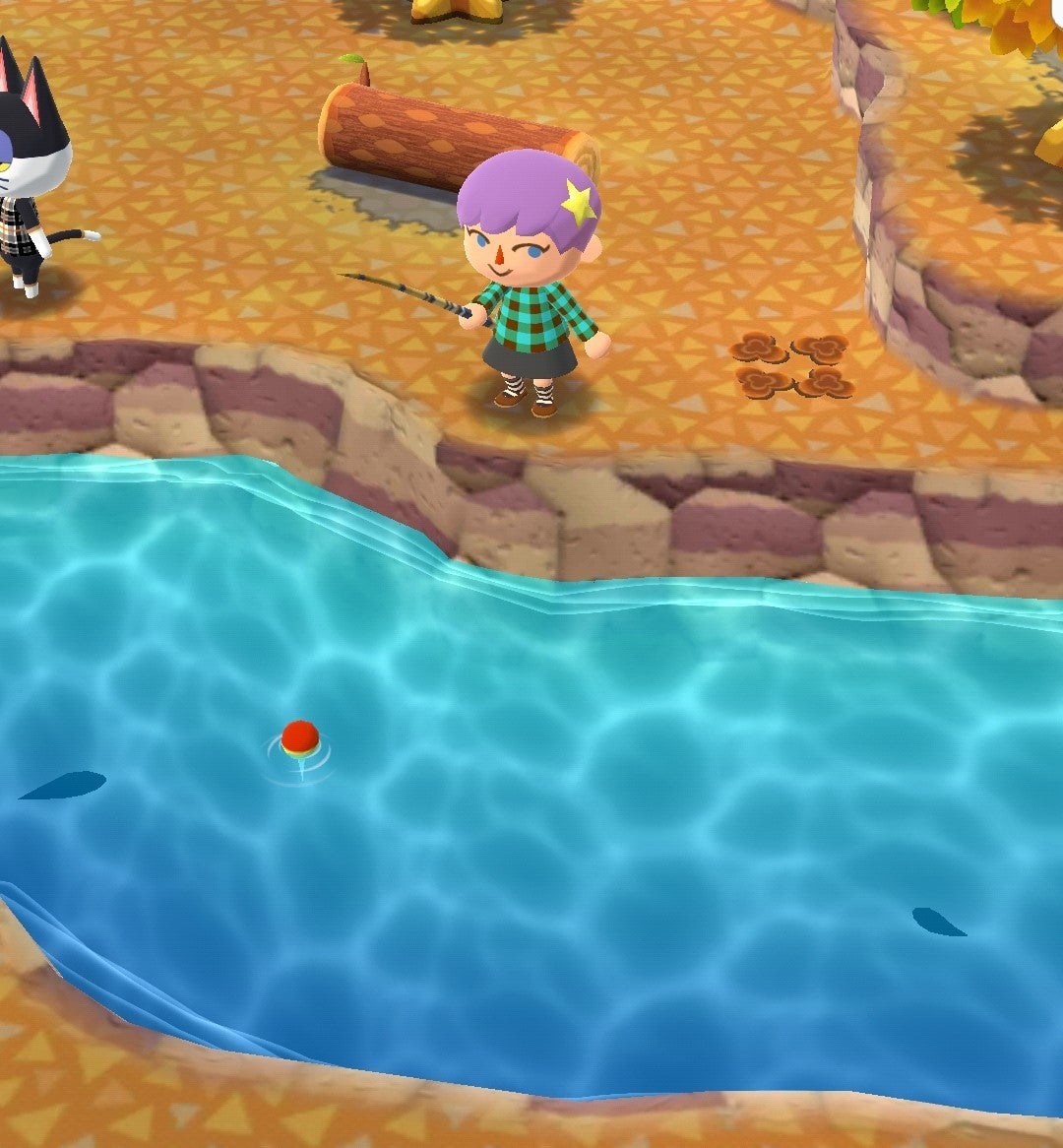 Detail Animal Crossing Pocket Camp Tuna Nomer 14