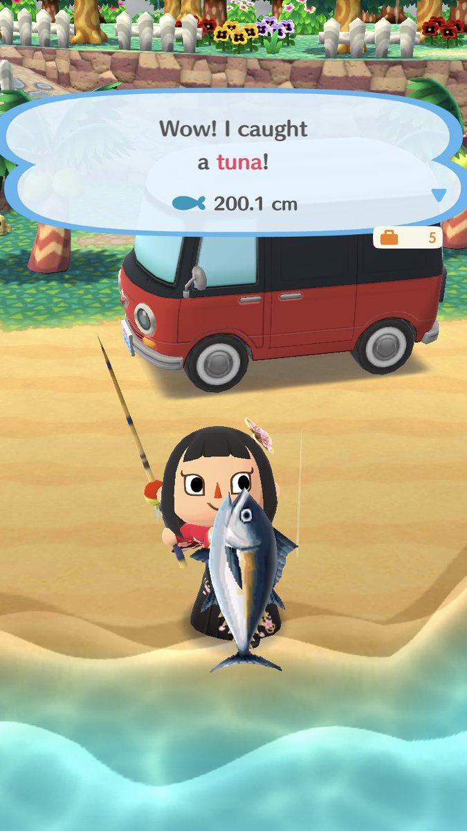 Detail Animal Crossing Pocket Camp Tuna Nomer 18