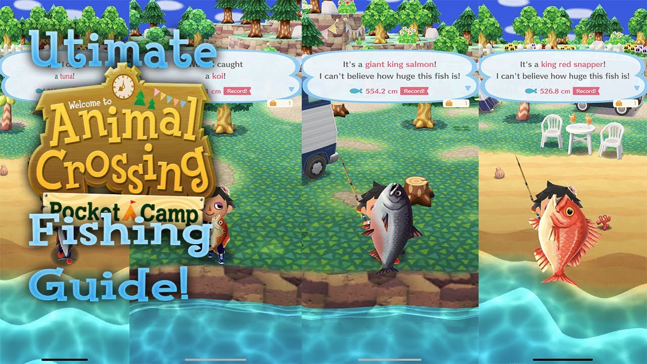 Detail Animal Crossing Pocket Camp Tuna Nomer 25