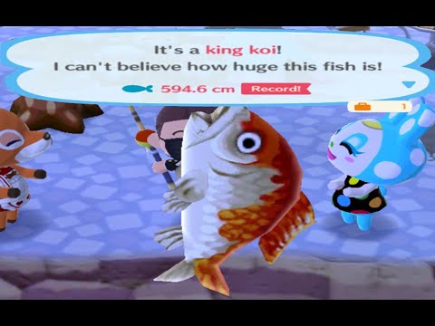 Detail Animal Crossing Pocket Camp Tuna Nomer 38