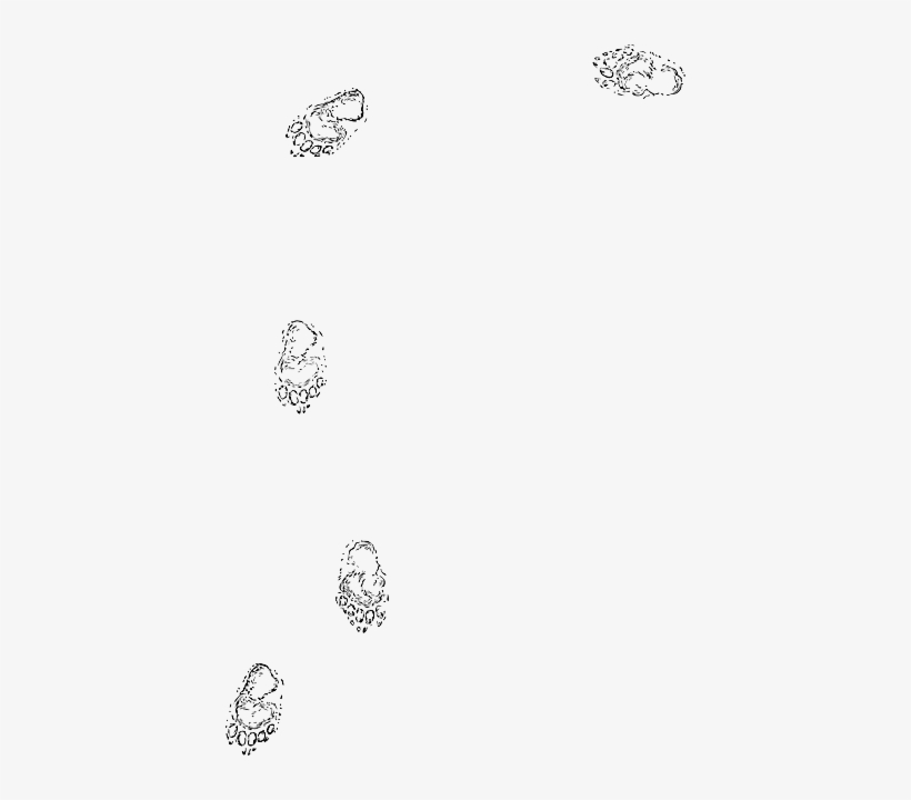 Detail Animal Footprints Clip Art Nomer 14