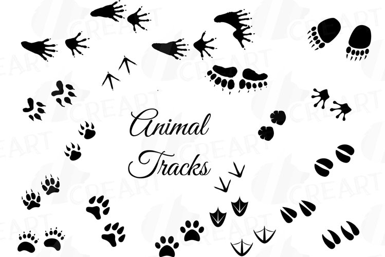 Detail Animal Footprints Clip Art Nomer 21