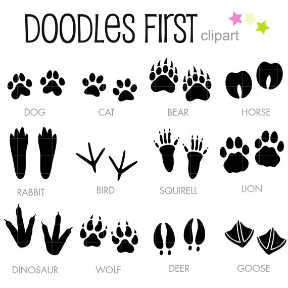 Detail Animal Footprints Clip Art Nomer 22