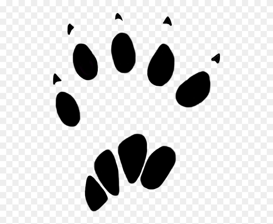Detail Animal Footprints Clip Art Nomer 23