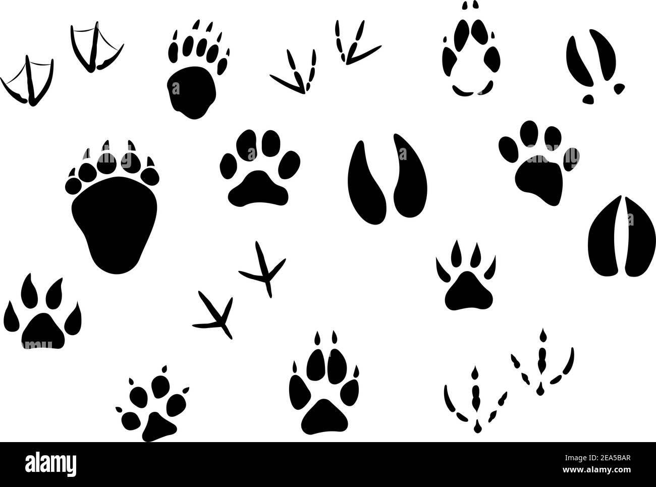 Detail Animal Footprints Clip Art Nomer 28