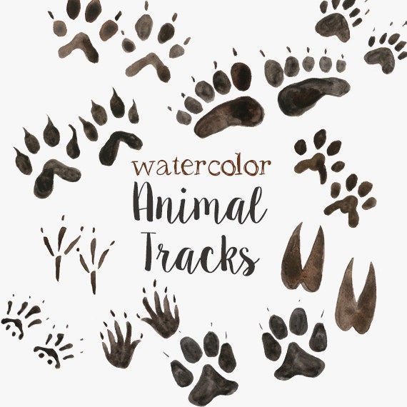 Detail Animal Footprints Clip Art Nomer 30