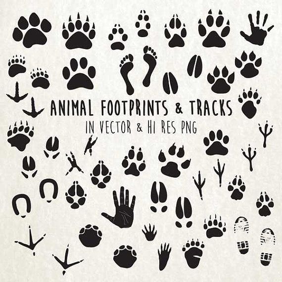 Detail Animal Footprints Clip Art Nomer 32