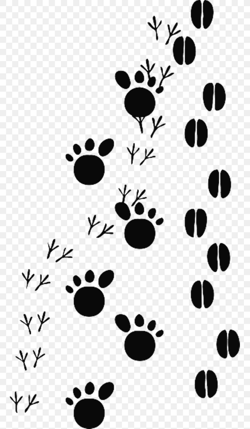 Detail Animal Footprints Clip Art Nomer 3