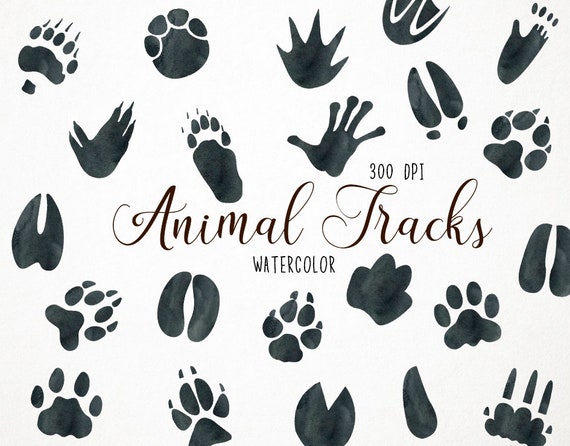 Detail Animal Footprints Clip Art Nomer 40