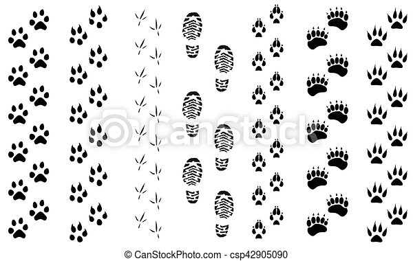 Detail Animal Footprints Clip Art Nomer 41
