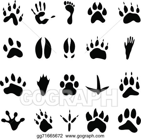 Detail Animal Footprints Clip Art Nomer 42